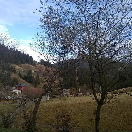 хатина в горах * Yablunytsya